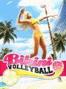 game pic for Bikini Volleyball